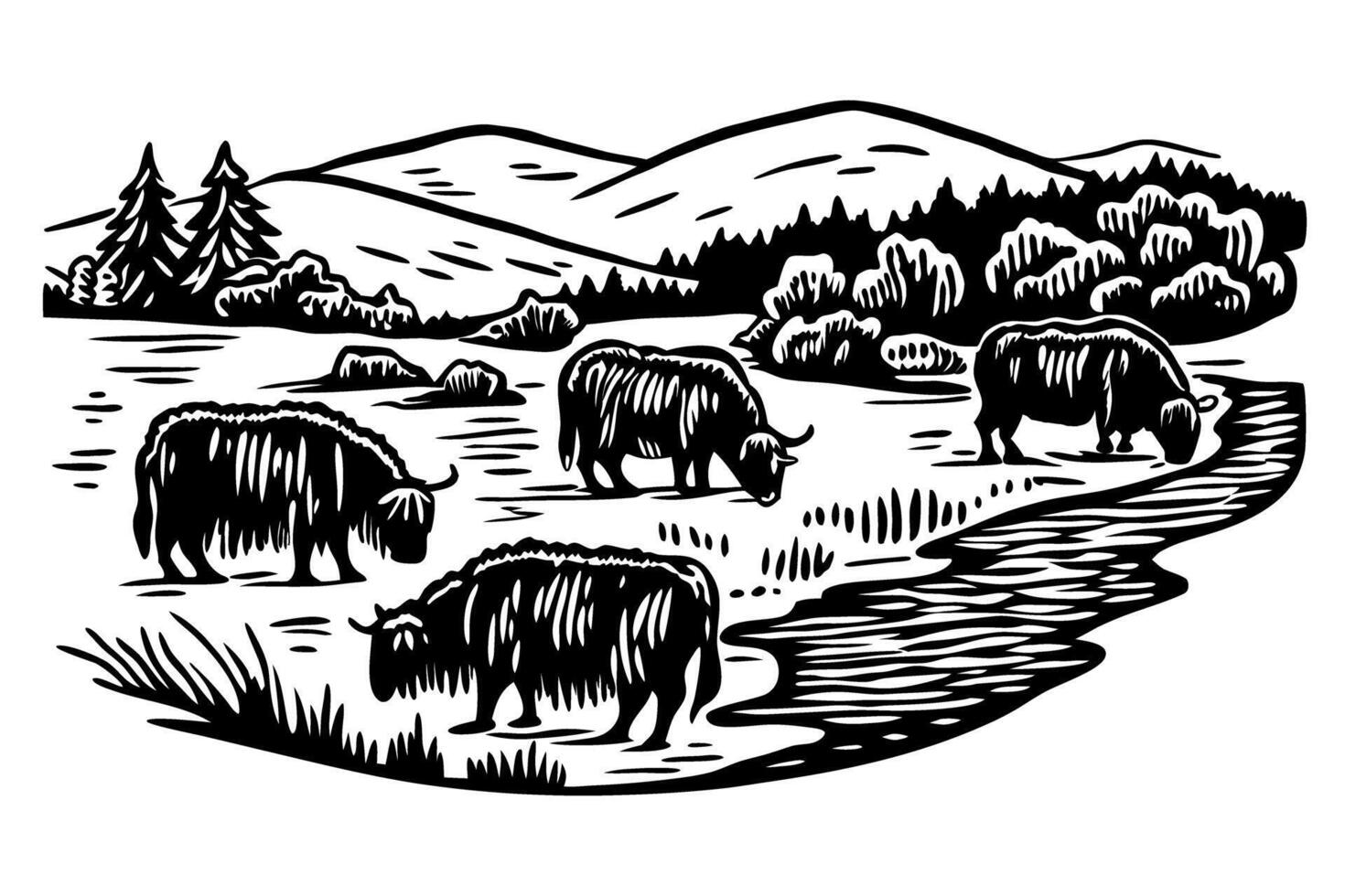 vintage illustration of highland cattle grazing in pastoral landscape with trees and hills vector