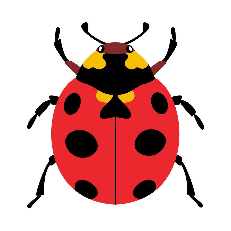 Stylized ladybug beetle with unique and colorful design. Hand drawn trendy flat style. Simple, Minimalist design, clean lines modern flat style. Ideal for nature designs,childrens illustrations vector