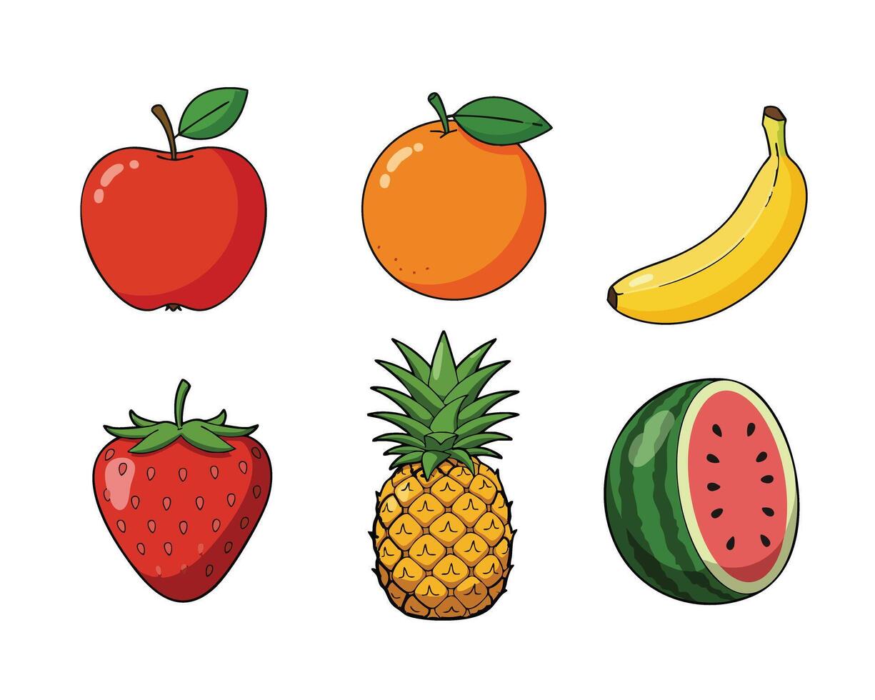 fruit illustration set vector