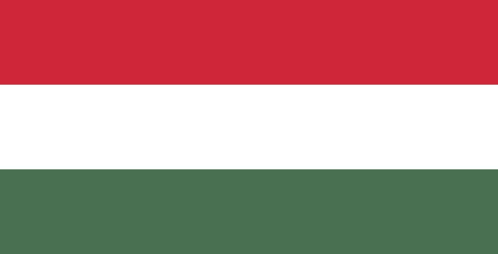 Hungary flag stock Image. vector