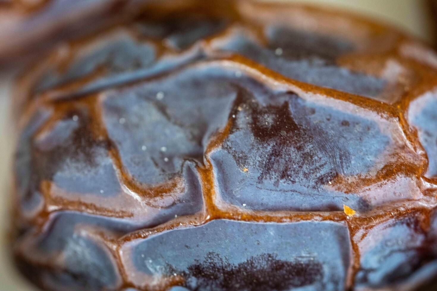 Dried date in macro photography fine details 1 photo