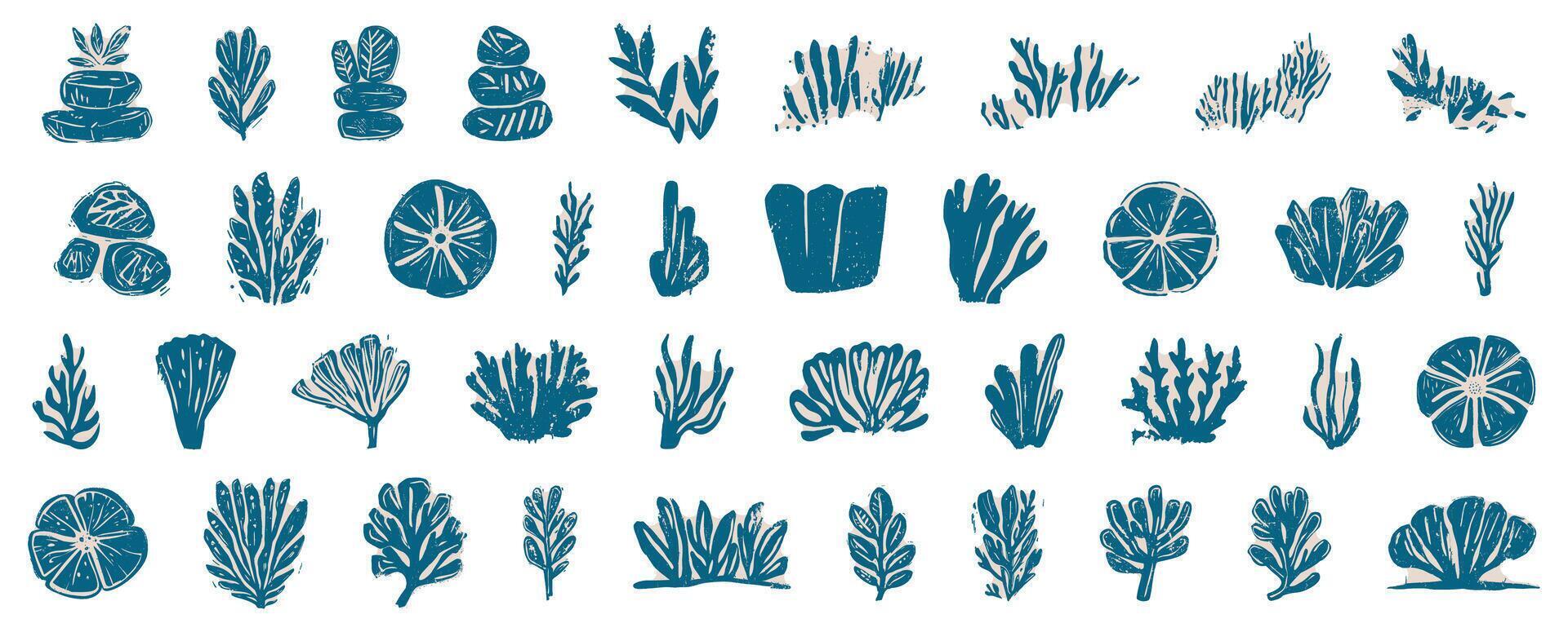 Collection of linocut hand-drawn seaweed and aquatic plant illustrations in blue and beige ink style, featuring various underwater flora and coral, isolated on transparent background vector