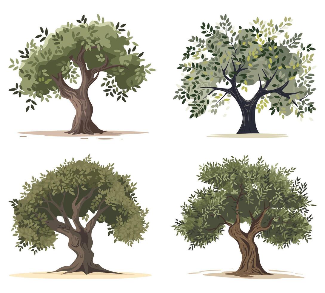 Olive tree collection. Hand drawn watercolor. illustration design. Icon set vector