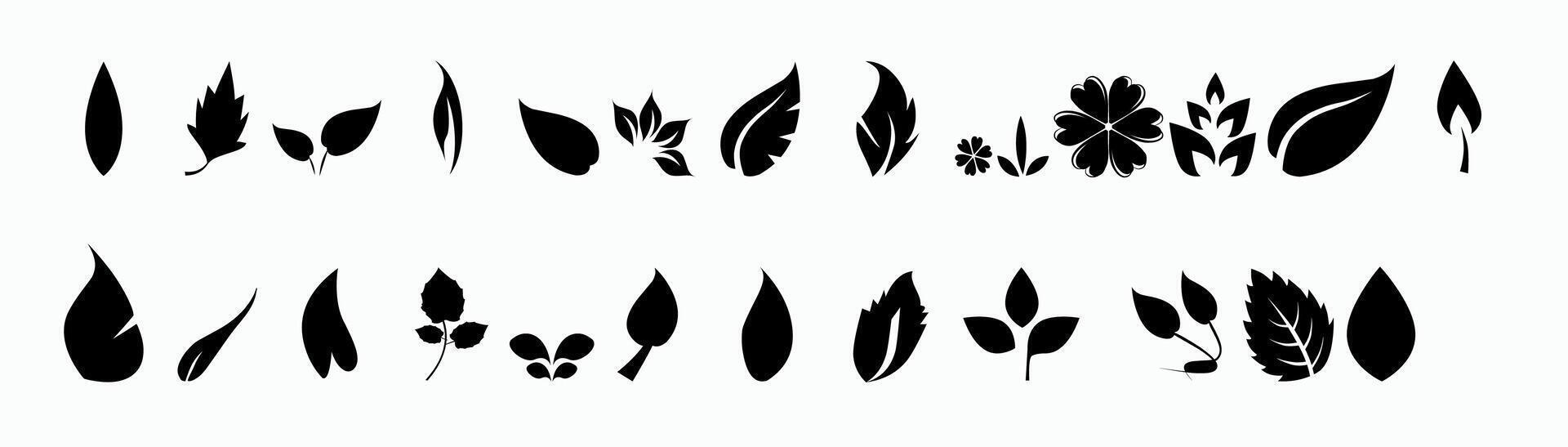 Collection of varied leaf icons vector