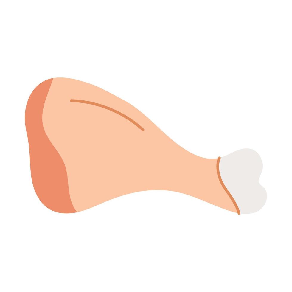 Chicken drumstick, raw poultry, meat. illustration. vector
