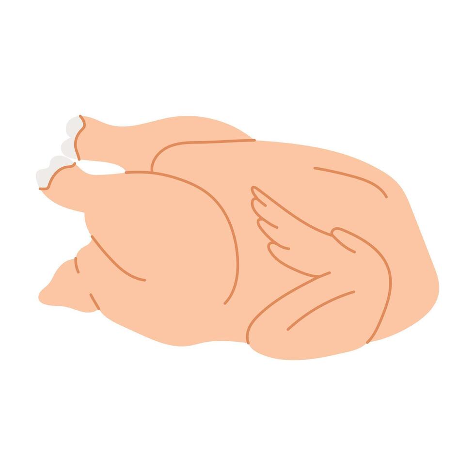Raw whole chicken, raw poultry, meat. illustration. vector