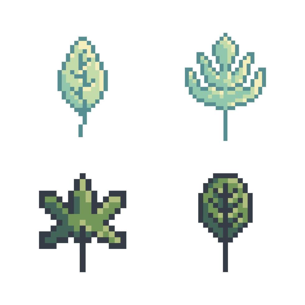 leaf bundle set vector