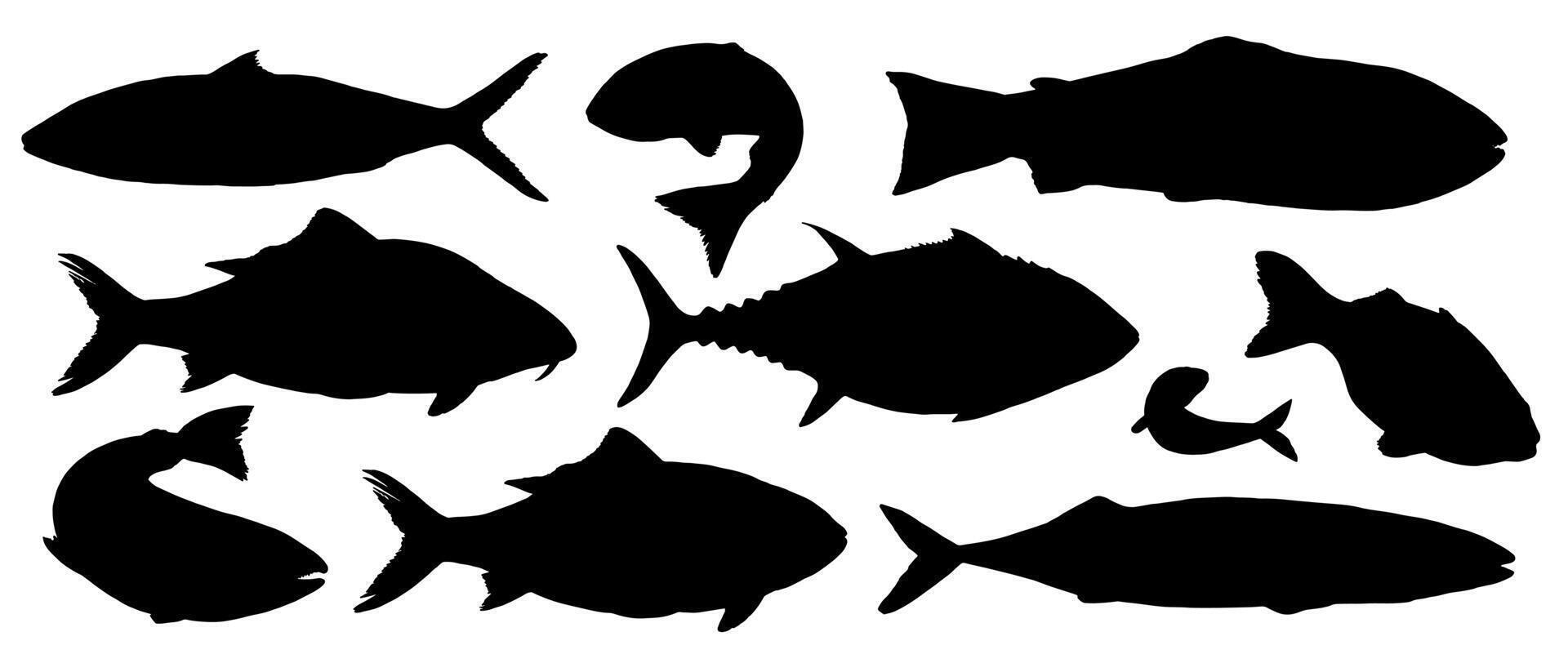 set of fish silhouettes in black and white. Features various species like tuna, trout, and mackerel in simple, abstract cutout style. For logos, icons, seafood packaging and marine designs vector