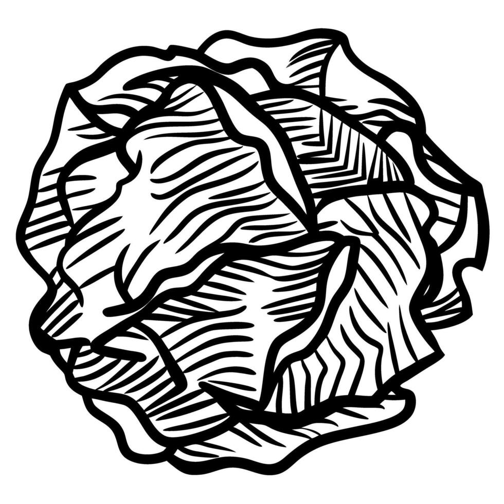 black and white cabbage line art detailed leaf patterns, vegetable illustration vector