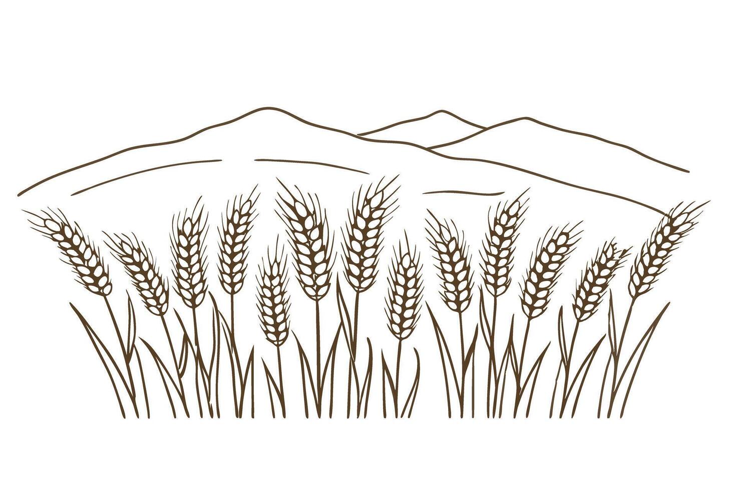 Line art wheat field with mountains in background nature, agriculture, rural landscape vector