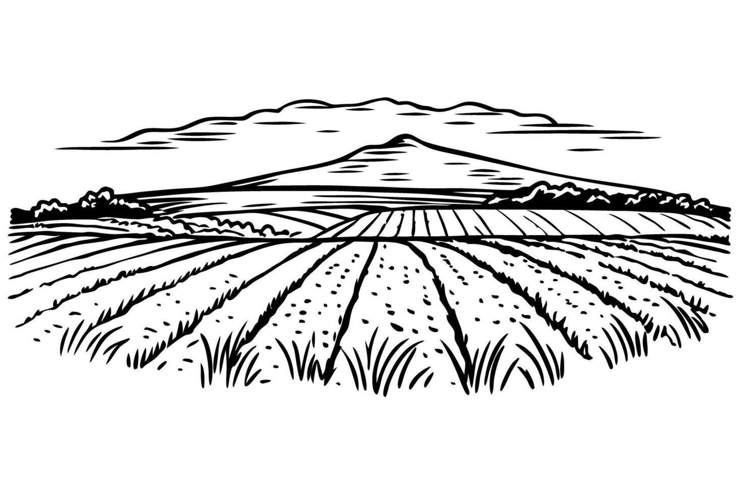 black and white landscape illustration of farmland with mountains and clouds in the background vector