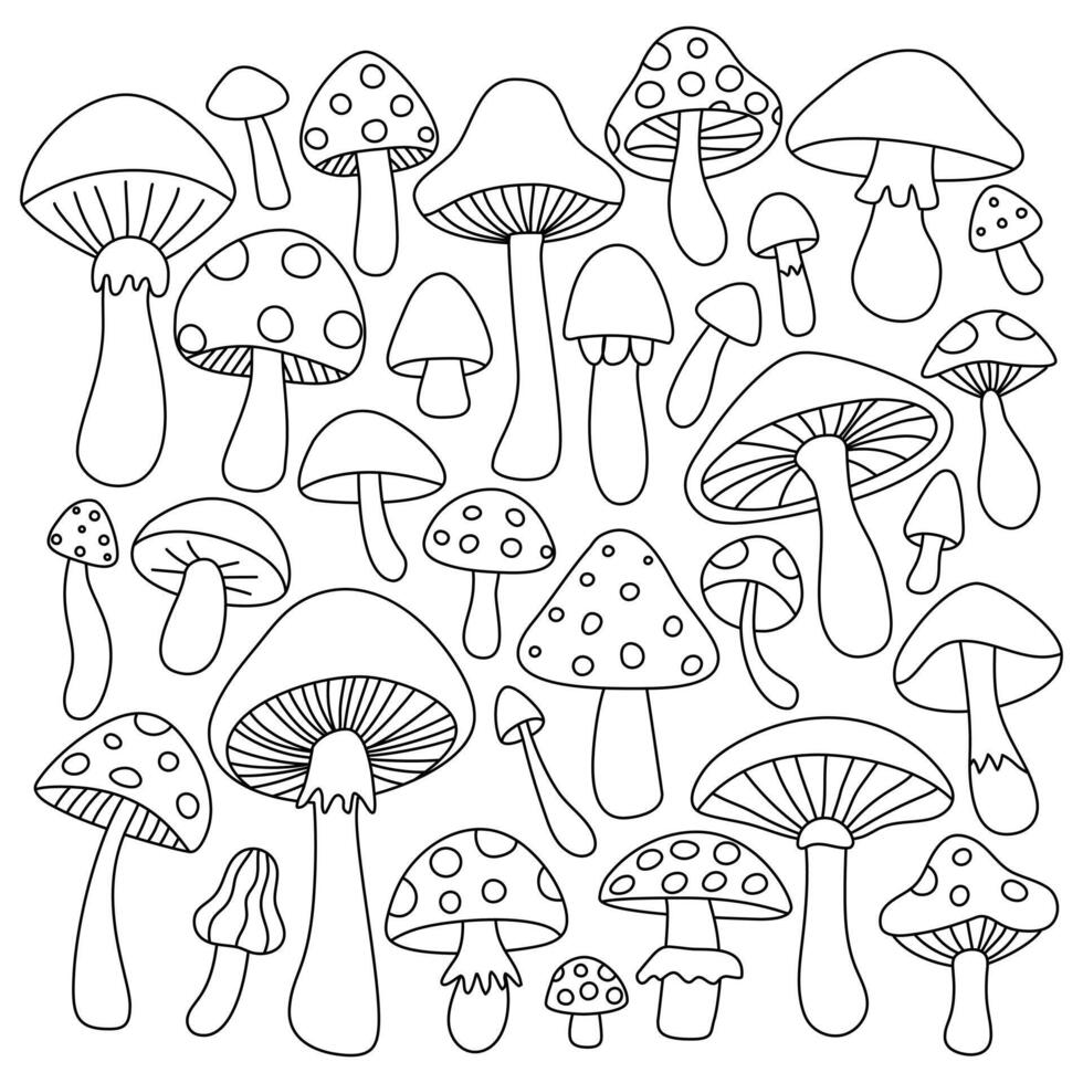Mushroom outlines collection. Intricate designs showcase different mushroom shapes and patterns, perfect for coloring or educational use. vector