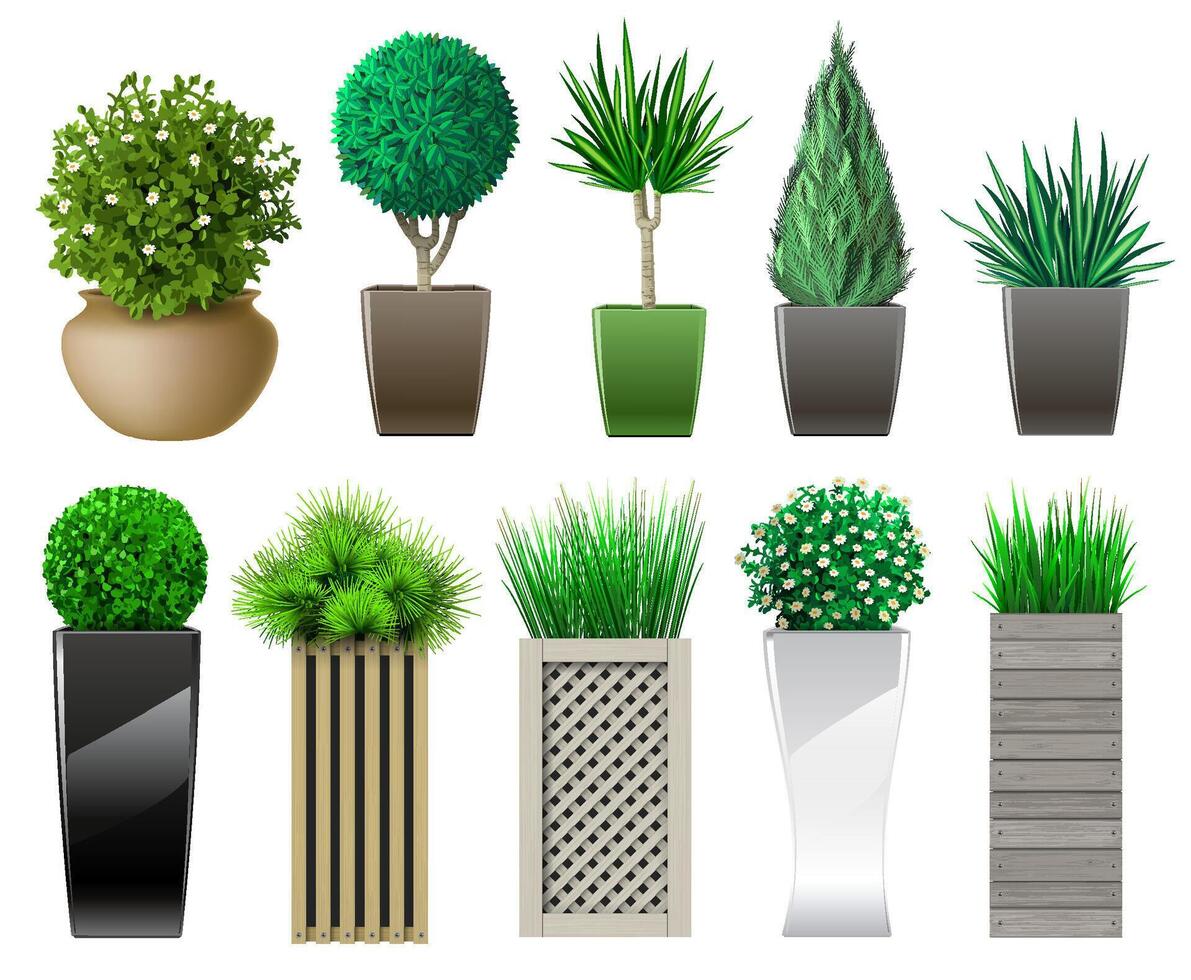 Set of decorative in pots with plants vector