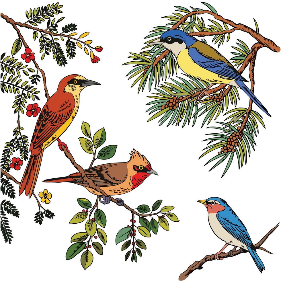 birds sitting on tree branch in nature vector