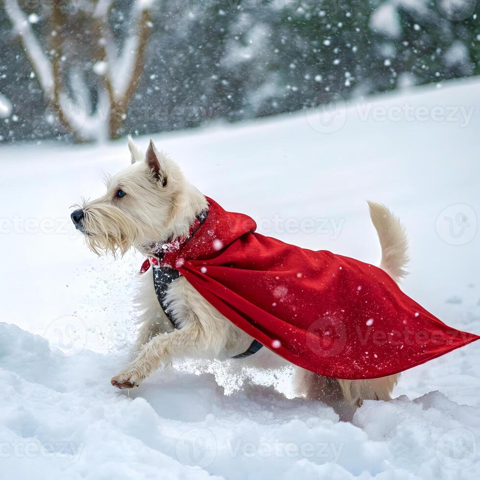 Hyperrealistic Winter Action Portrait photo