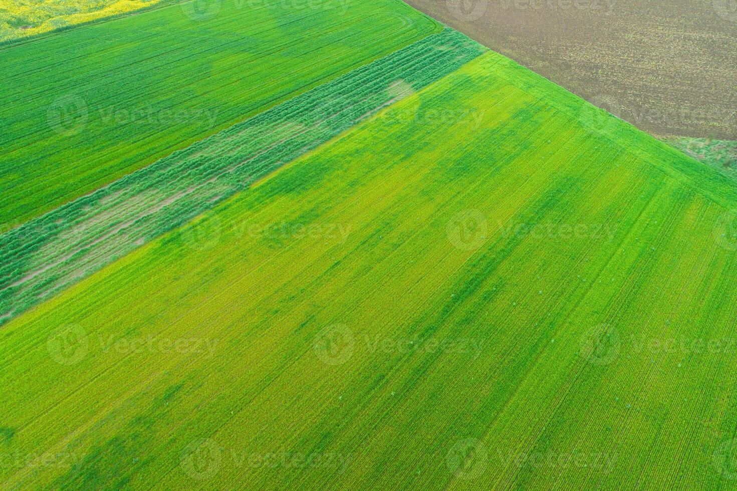abstract farm landscape with green patterns from above. Aerial drone view. Background concept texture of agriculture photo