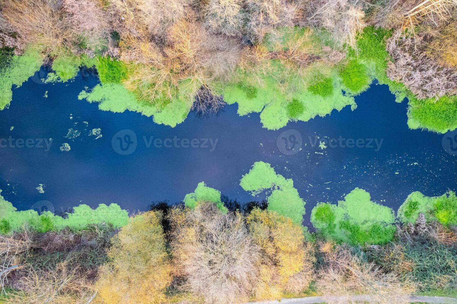 view of a river in winter, zenithal view with drone photo