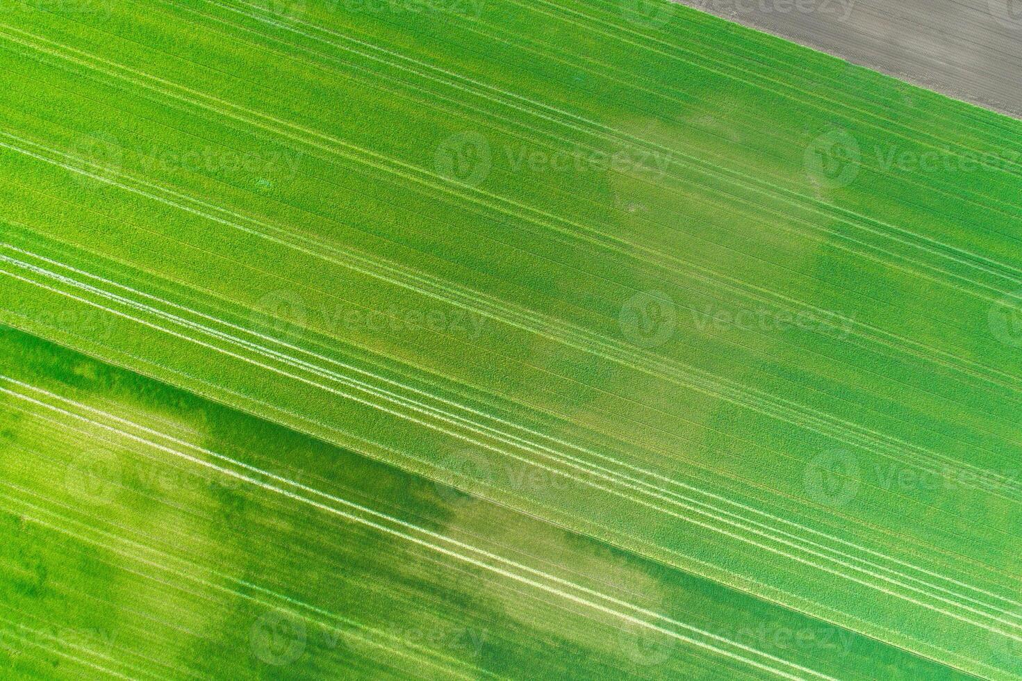 aerial drone image top down view of abstract farm landscape, green patterns from above. Agriculture concept background texture photo