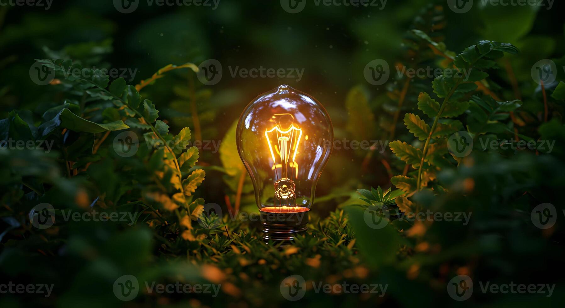 a light bulb is glowing in the grass photo