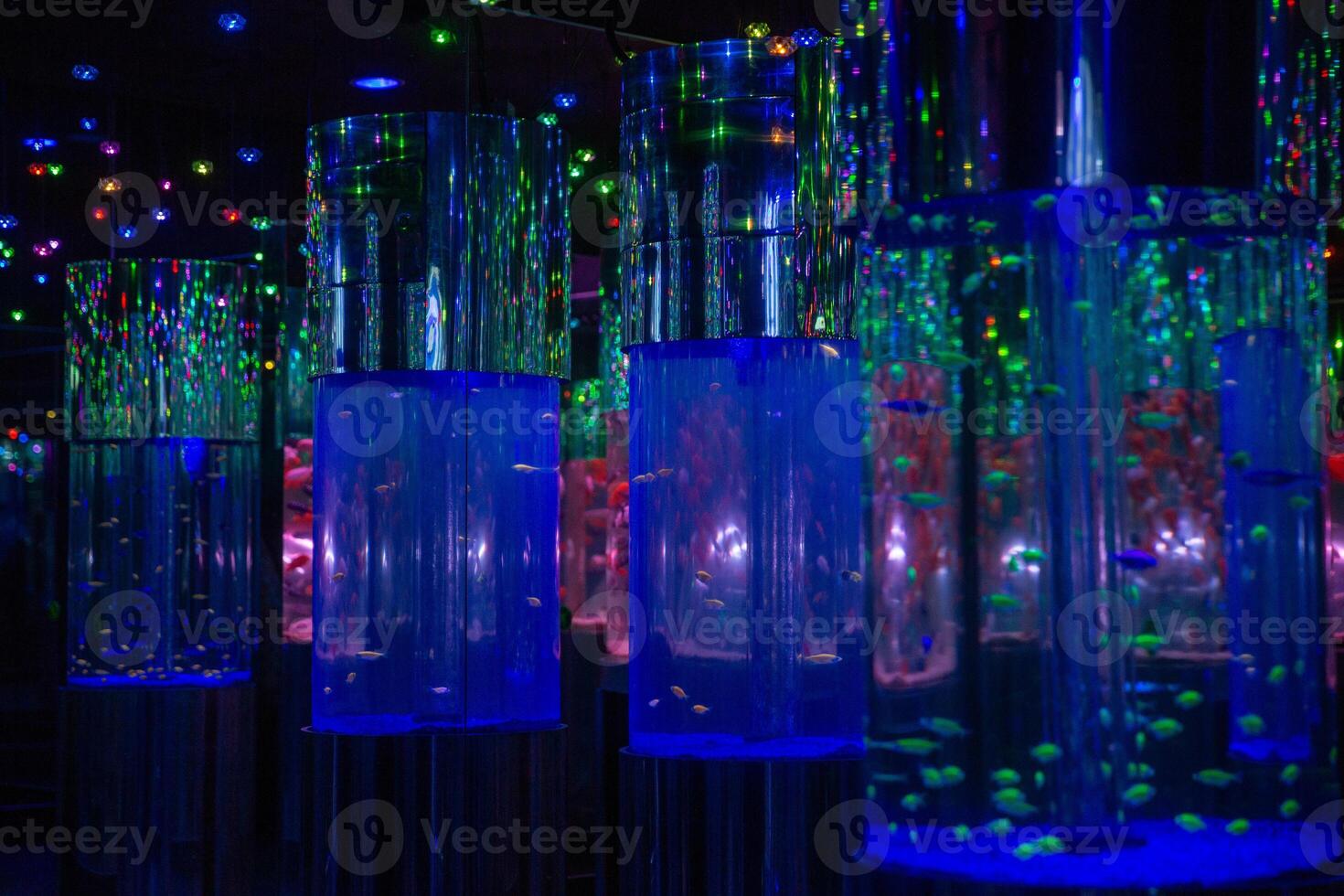 A room with several large aquariums filled with colorful lights photo