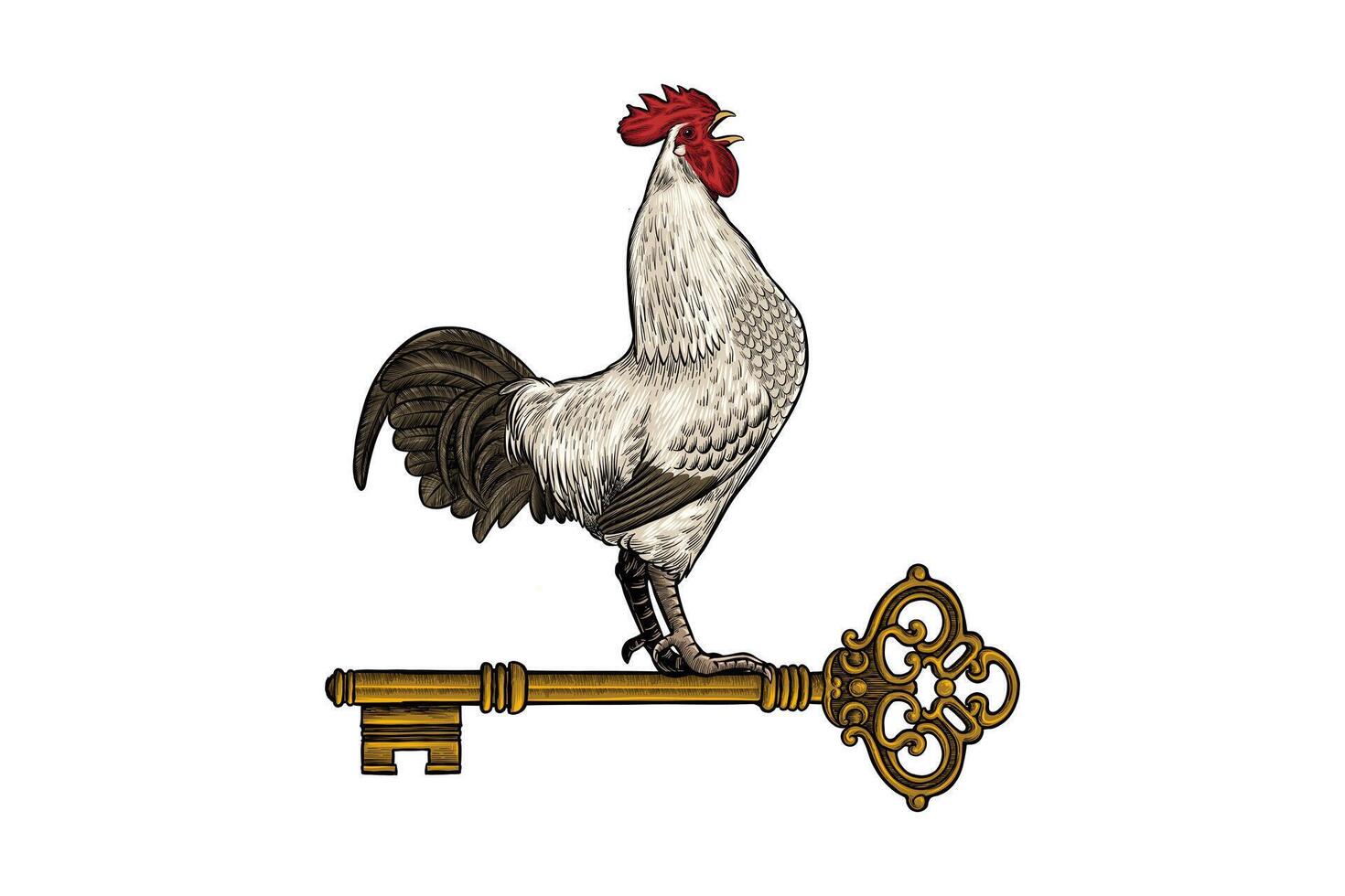 hand drawn illustration of chicken and key vector