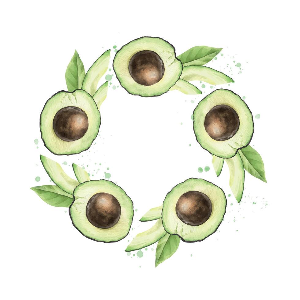 Halves Hass Avocado fruits with seed, greenery and splashes. Watercolor round frame green vegetables. Wreath of healthy vegan food and leaves for menu, packaging of food, cosmetics, recipe, cards vector
