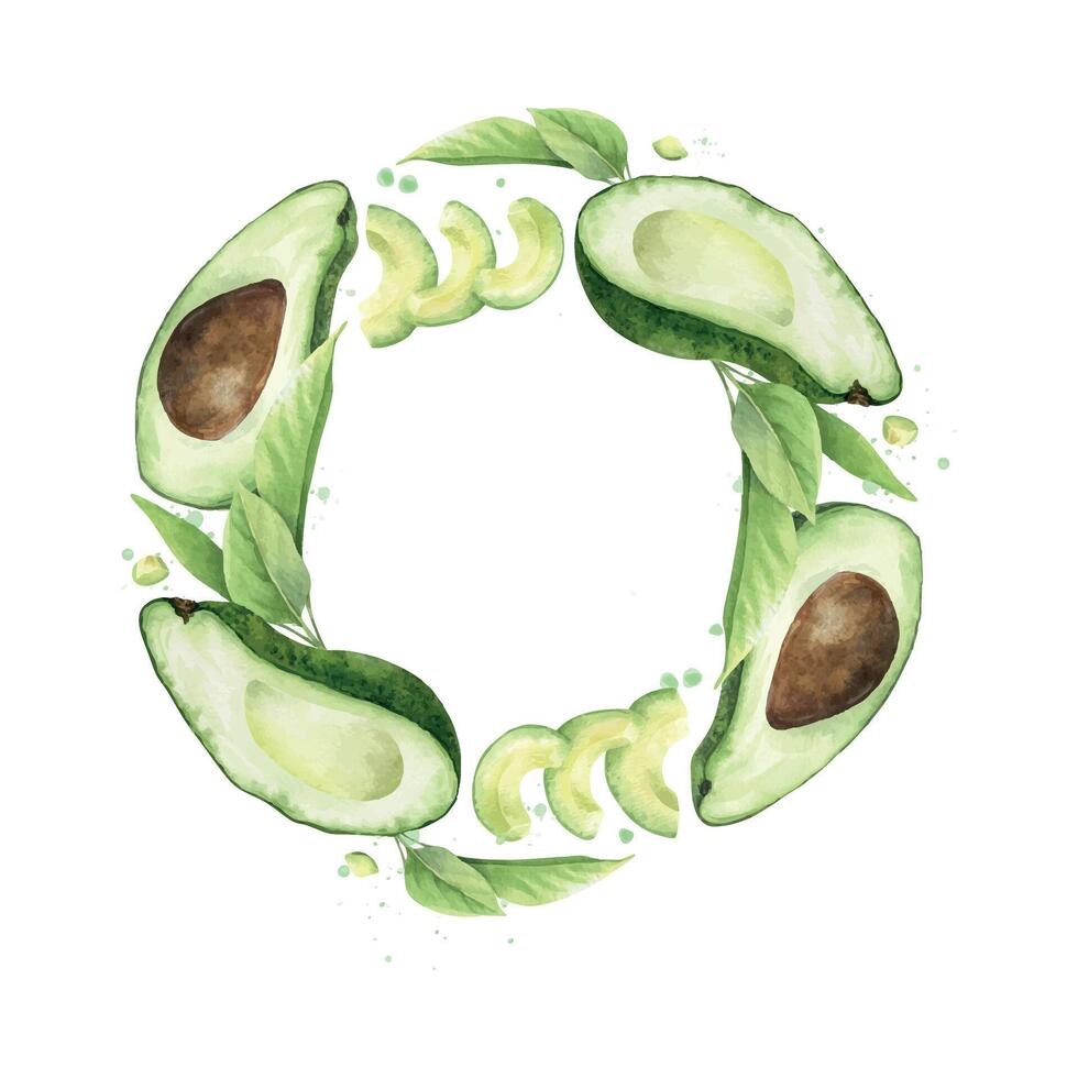 Watercolor round frame of Avocado fruits, halves fruit with seed, seedless slices and splashes. Layout of healthy vegan vegetables and leaves for menu, packaging of food, cosmetics, recipe, cards vector