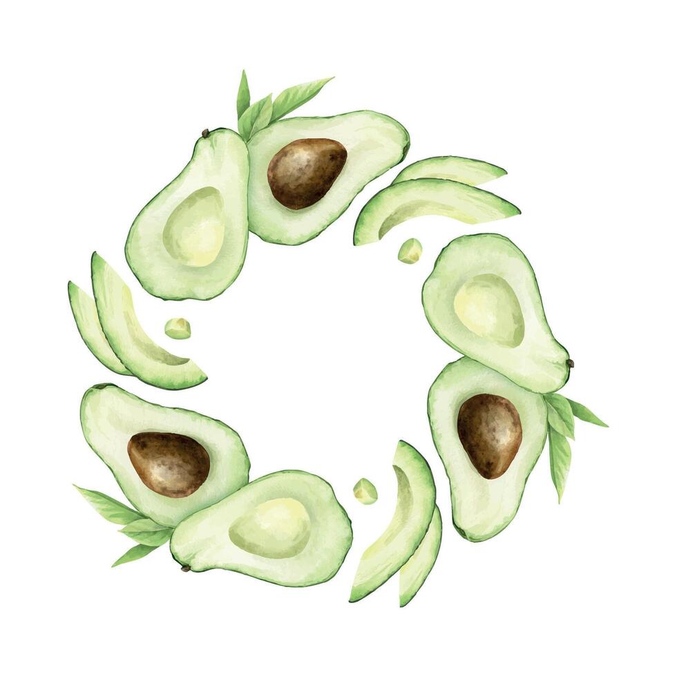 Avocado fruits slices watercolor round frame. Wreath of green vegan vegetables and leaves for menu, packaging of food, cosmetics, fabrics, wrapping paper, recipe vector