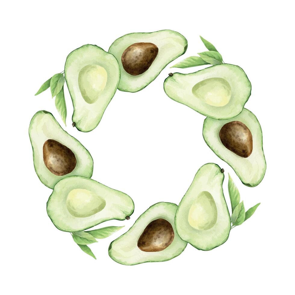 Halves Avocado with seed, seedless fruits slices and leaves watercolor round frame. Wreath of green vegan vegetables for menu, packaging of food, cosmetics, recipe, cards vector