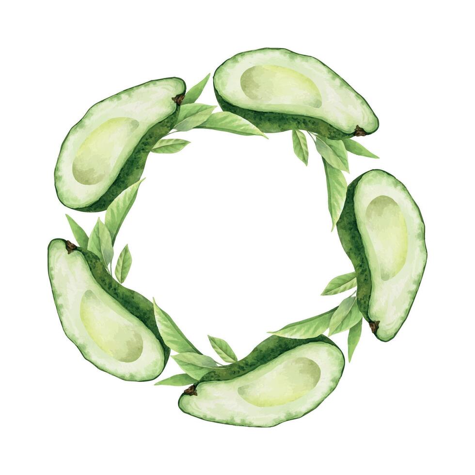 Avocado Seedless halves fruits slices and leaves. Watercolor circular frame green vegetables. Wreath of healthy vegan food for menu, packaging of food, cosmetics, recipe, cards vector