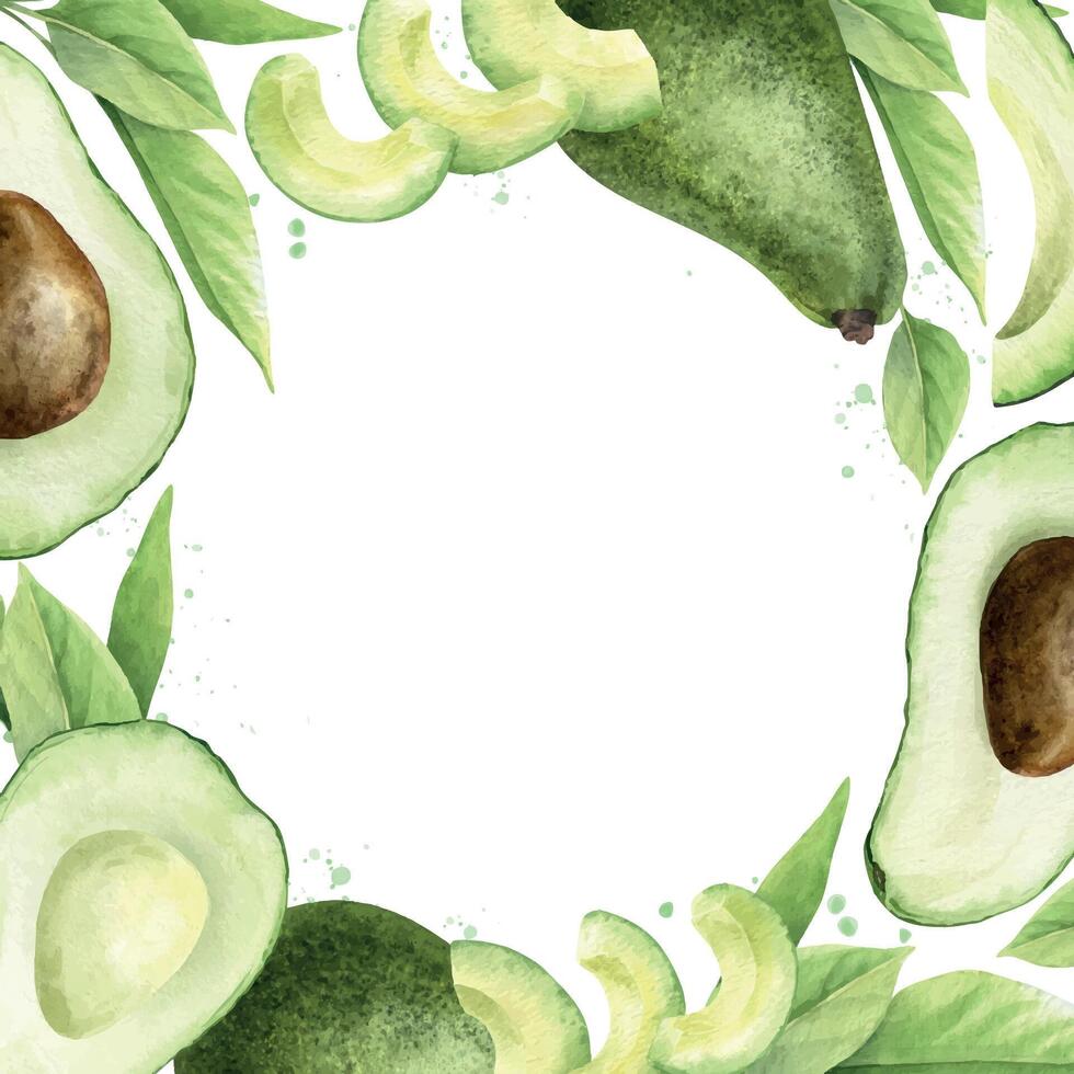Green Avocado whole fruits, halves fruit with seed and Seedless slices. Watercolor square frame. Template of healthy vegan vegetables and leaves for menu, packaging of food, cosmetics, recipe, cards vector