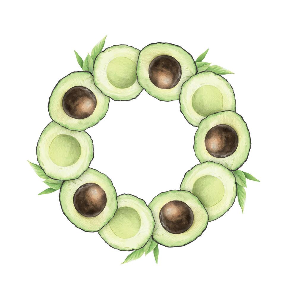 Halves Hass Avocado fruits with seed, seedless slice. Watercolor round frame green vegetables. Wreath of healthy vegan food and leaves for menu, packaging of food, cosmetics, recipe, cards vector
