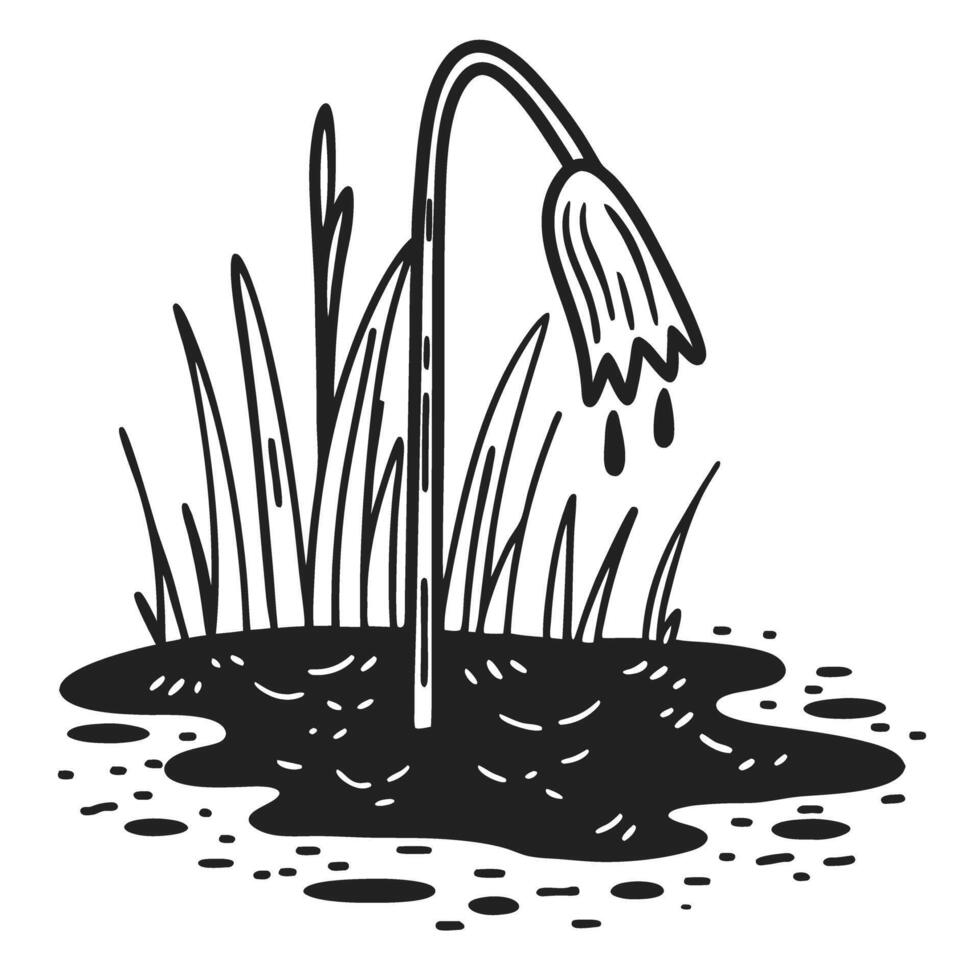 wilting flower dripping water in black and white sad nature symbol, dying plant illustration vector