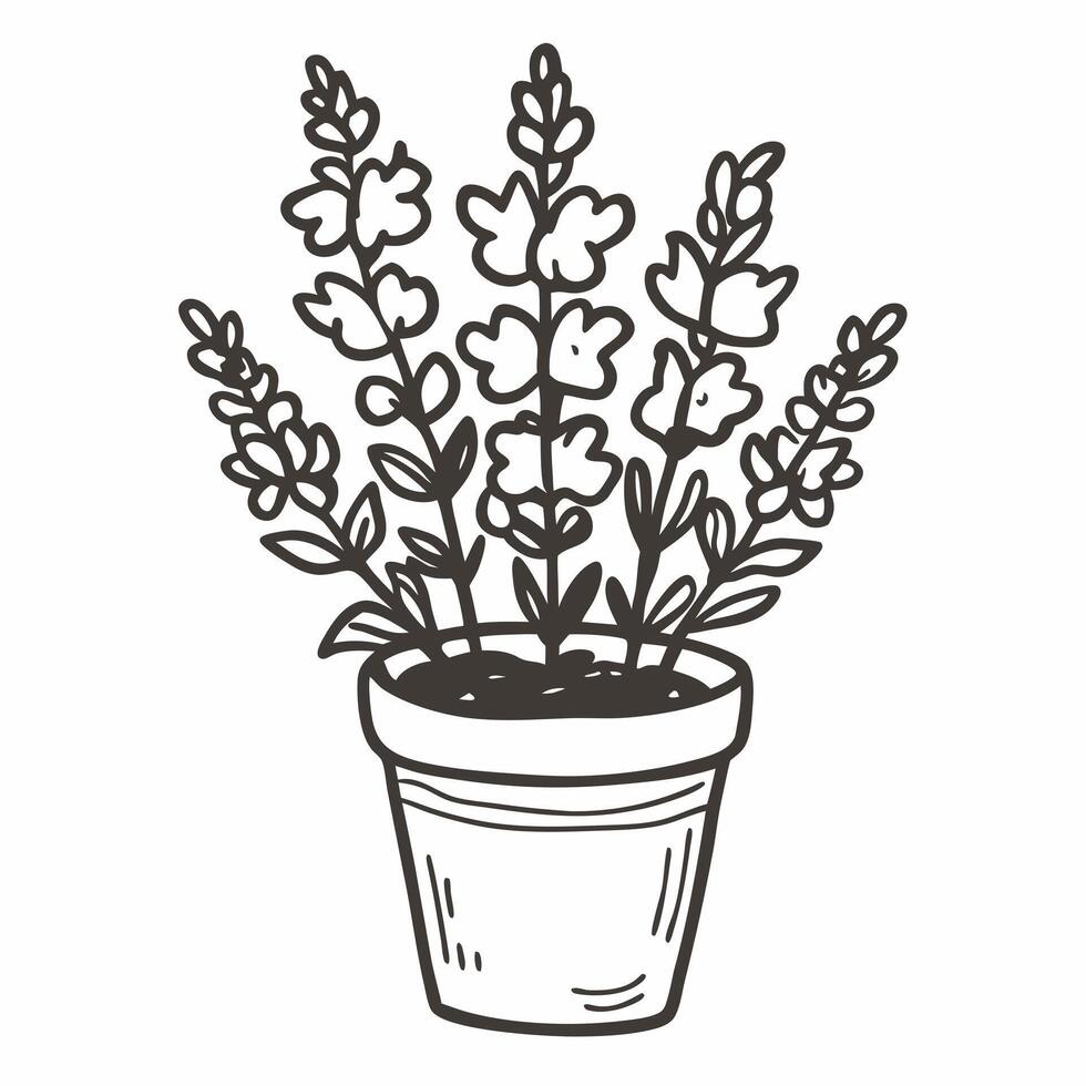 Hand Drawn Snapdragon Flower in Pot Vintage Botanical Illustration vector