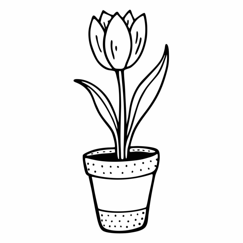 Minimalist Hand Drawn Tulip in a Pot Black and White Line Art Illustration vector