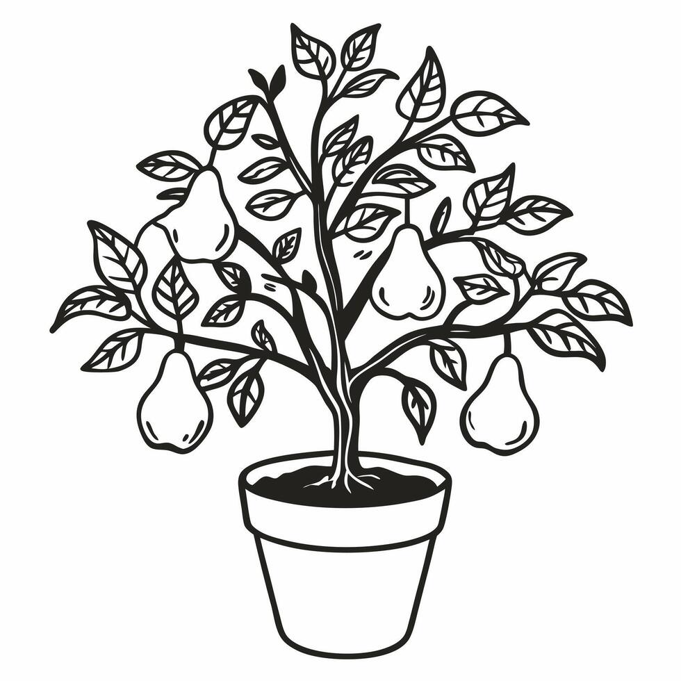 Potted Pear Tree Illustration with Ripe Fruits and Leaves Line Art Design vector