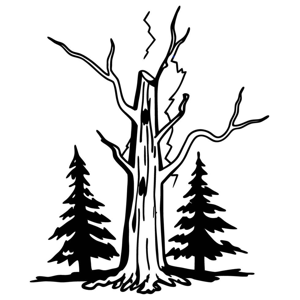 dead tree struck by lightning with surrounding evergreen trees, forest nature sketch vector