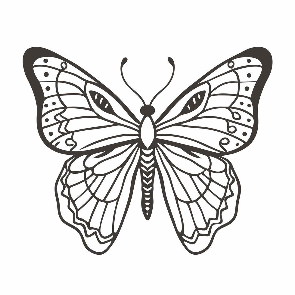 Intricate Black and White Butterfly Outline Illustration vector