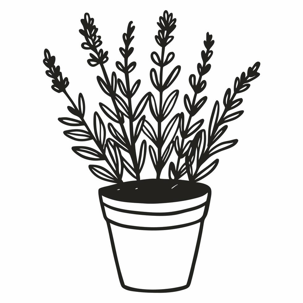 Hand Drawn Lavender in Pot Illustration for Botanical and Home Decor Themes vector