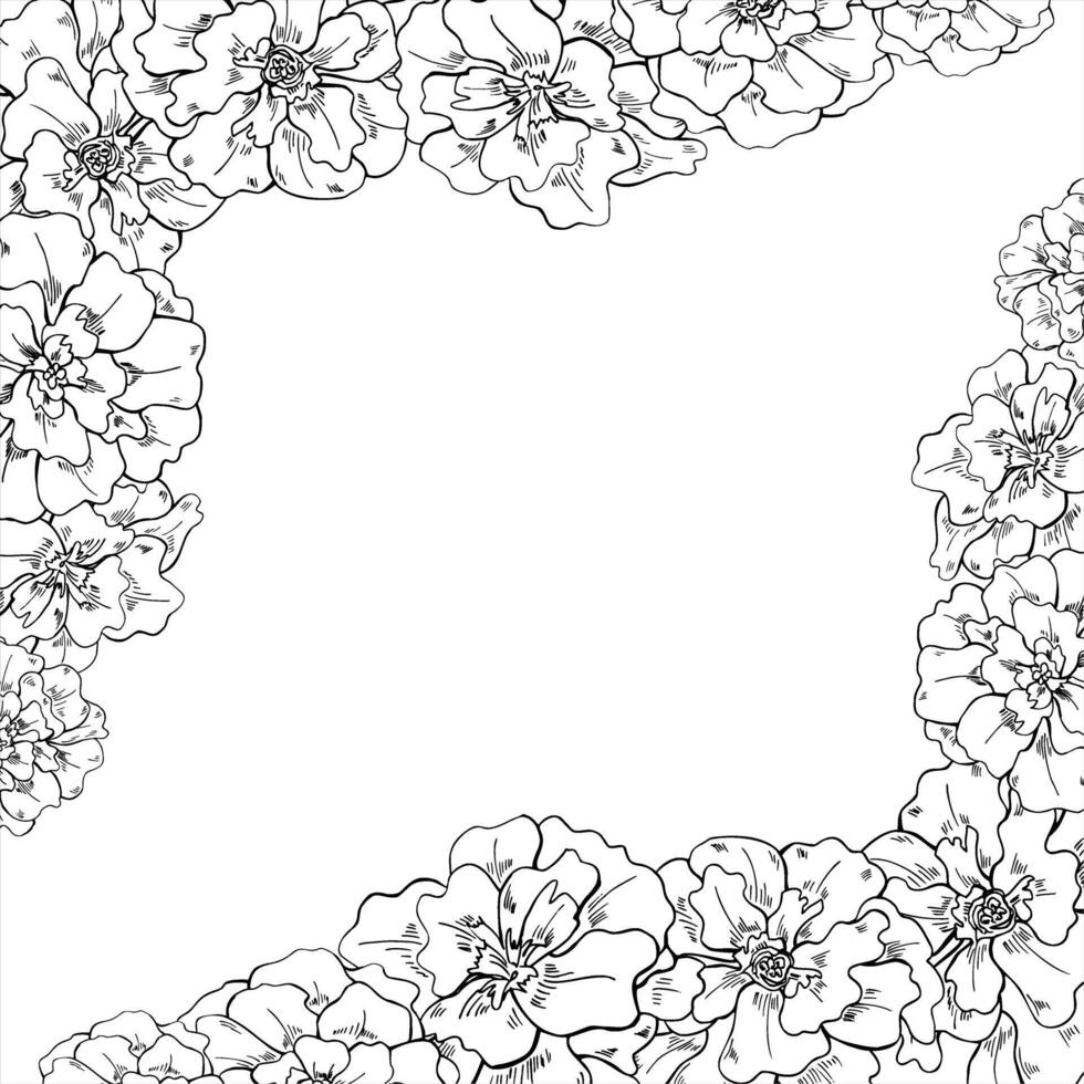 Marigold flower head square frame with empty space for text. Blooming calendula flowers etching drawing painted by black inks. Floral tagetes border for garden themed design, festival of lights vector