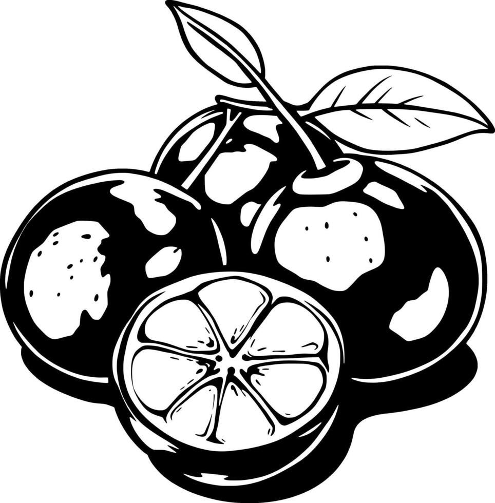 Stylish Black And White Illustration Of Juicy Oranges With A Slice vector