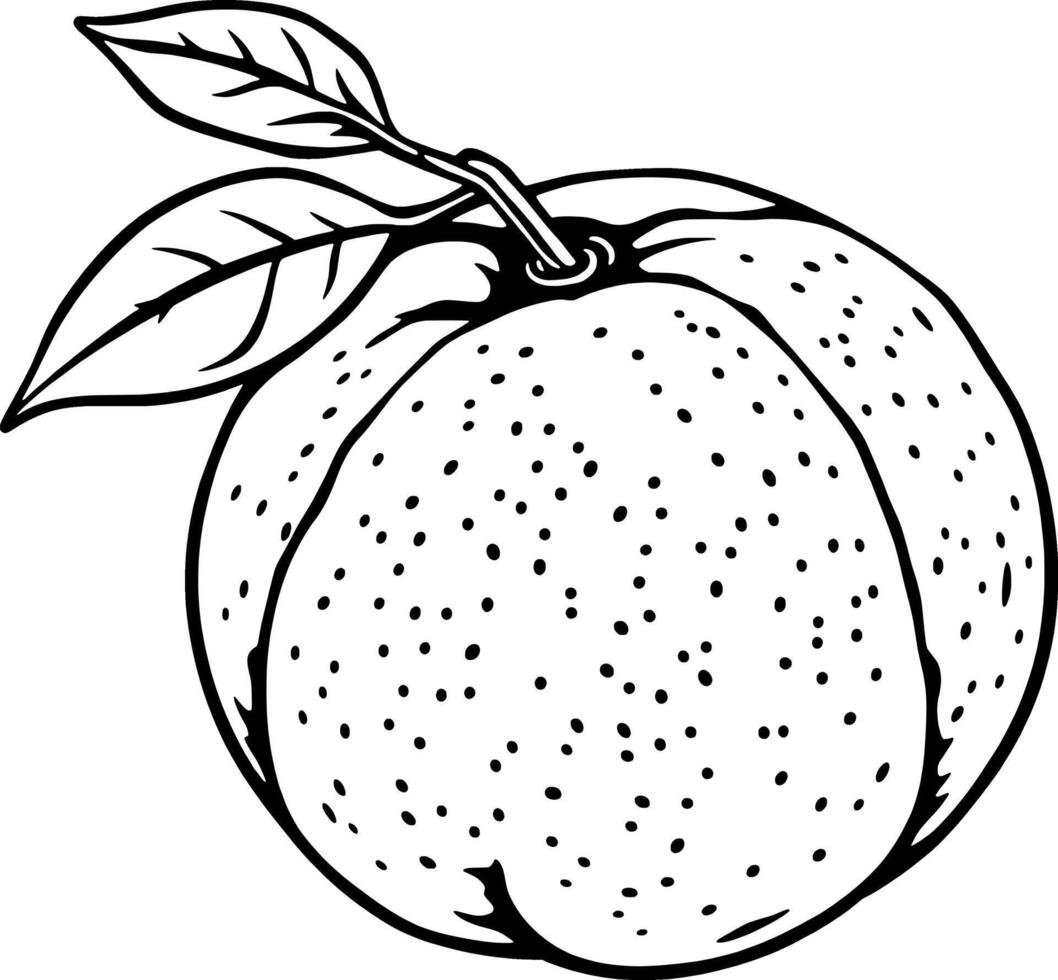 Line Art Illustration Of A Single Ripe Orange With Leaves vector