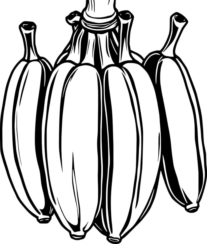Hand-Drawn Illustration Of A Bunch Of Ripe Bananas Black And White Line Art Style vector