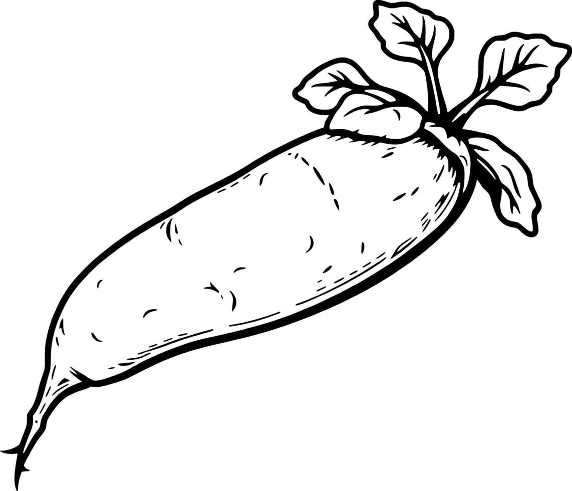 Hand-Drawn Illustration Of A Single Fresh Radish With Leaves vector