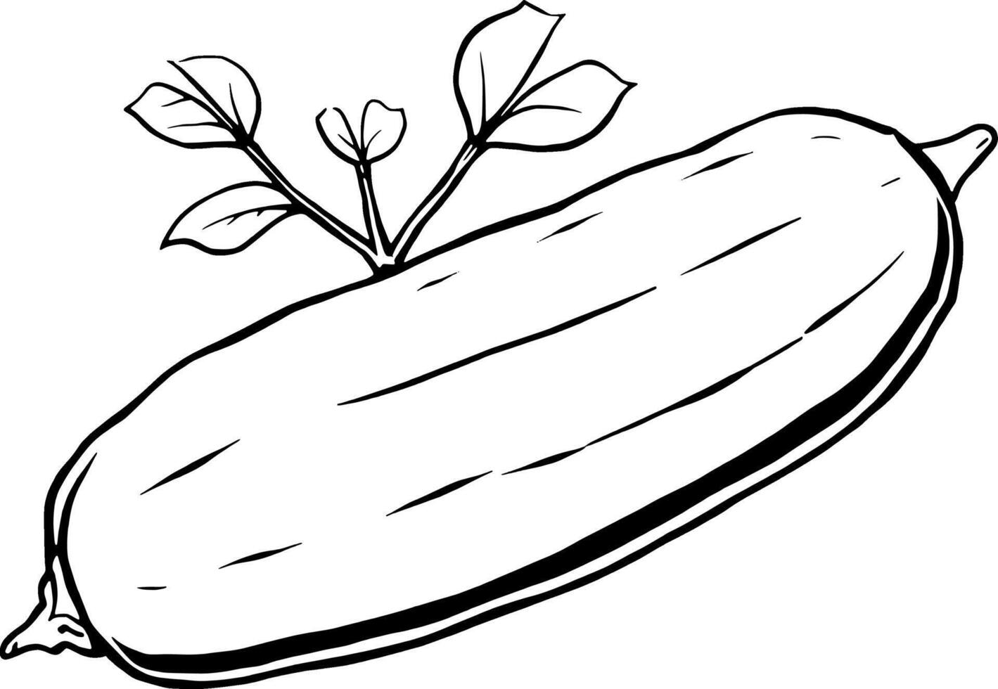 Illustration Of A Single Cucumber With Leaves vector