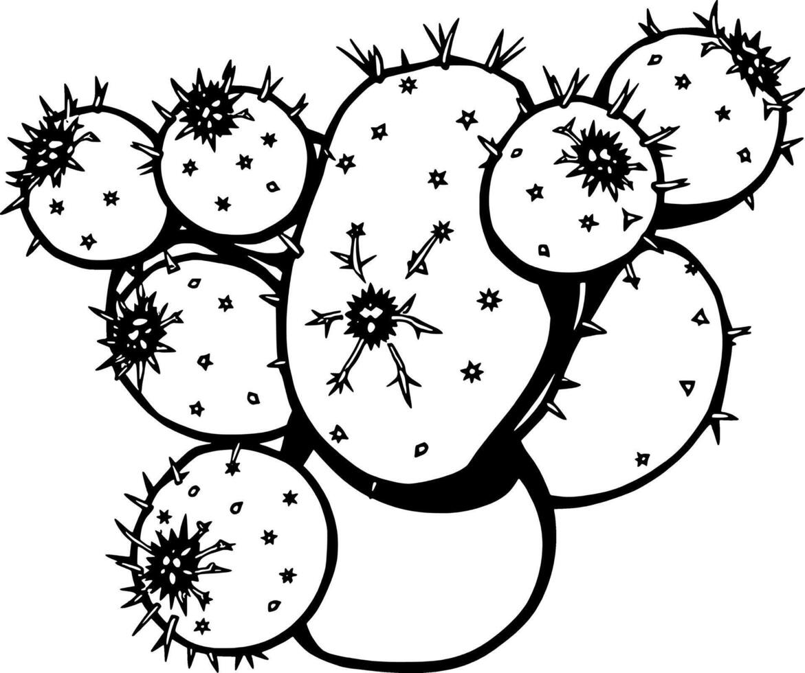 Detailed Line Art Illustration Of A Prickly Pear Cactus Plant vector