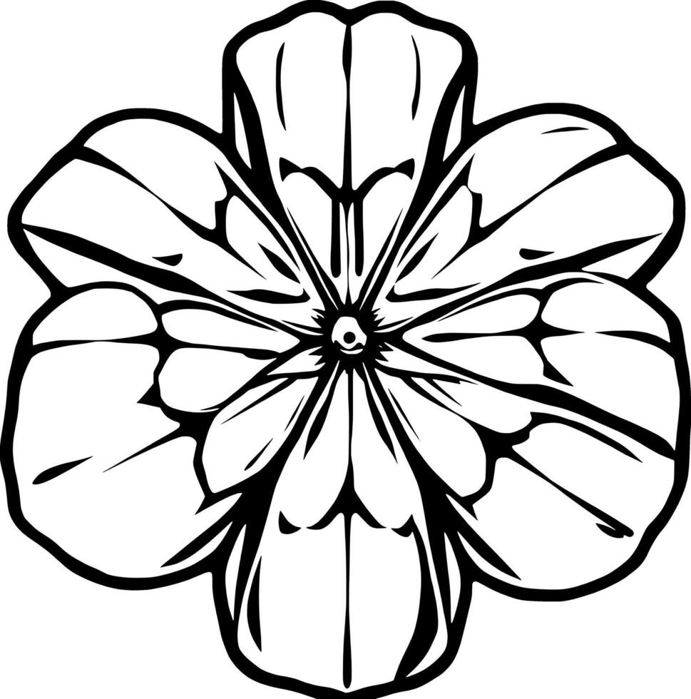 Detailed Line Art Drawing Of A Symmetrical Flower Blossom vector