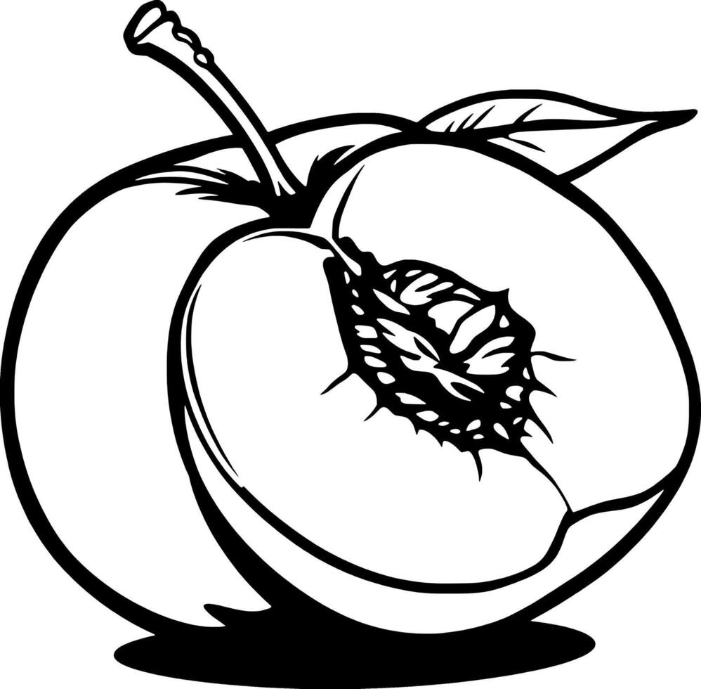 A Halved Peach Illustration Detailed Line Art of a Juicy Summer Fruit vector