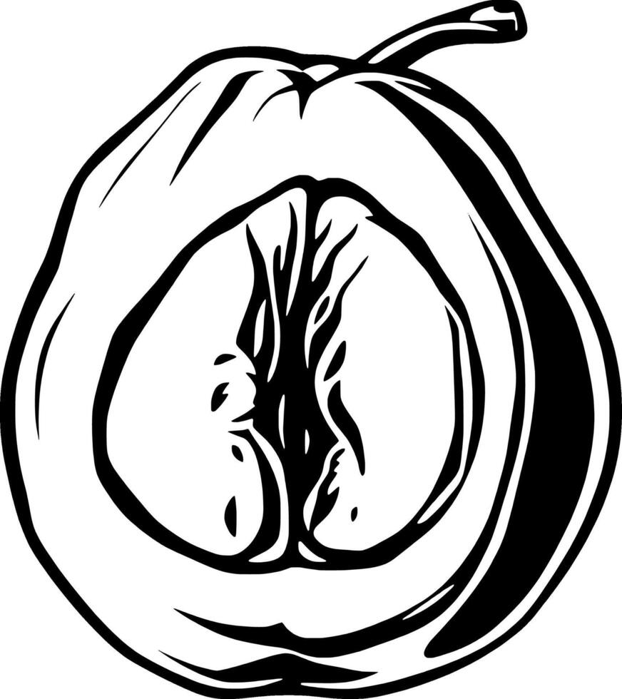 Halved Plum Illustration A Detailed Black And White Drawing Of A Ripe Plum Cut In Half Revealing It vector
