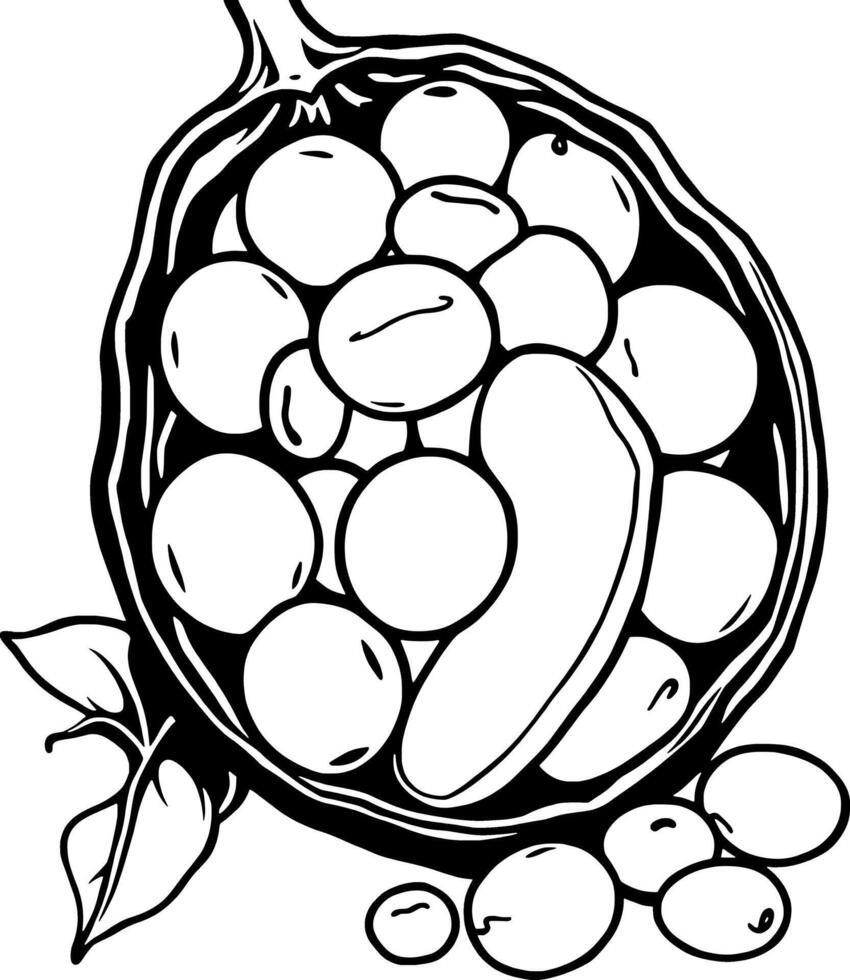 Line Art Illustration Of A Split Pod Filled With Seeds And Fruits vector